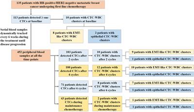 Epithelial-Mesenchymal-Transition-Like Circulating Tumor Cell-Associated White Blood Cell Clusters as a Prognostic Biomarker in HR-Positive/HER2-Negative Metastatic Breast Cancer